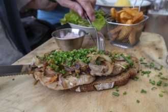 Pork steak on toasted bread with fried onions, French fries and salad in a beer garden, Franconia,