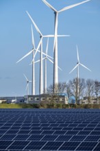 Vopak Solarpark Eemshaven, 19 hectares of solar modules with a capacity of 25 megawatts, around the