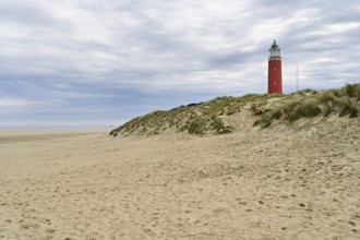 Eierland lighthouse with dunes, De Cocksdorp, Texel, West Frisian Islands, Province of North