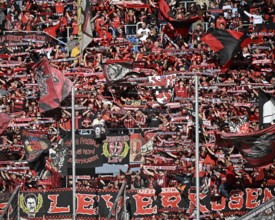 Fan block, fans, fan curve, flags, flags, atmosphere, atmospheric Bayer 04 Leverkusen, PreZero