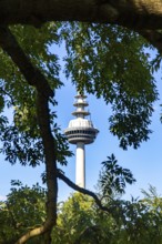 Telecommunications tower in Mannheim