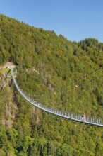 Blackforestline near Todtnau, Black Forest, Baden-Württemberg, Germany, Todtnau, Baden-Württemberg,