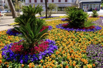 Flower arrangements, flower beds on the Passer promenade, Merano, South Tyrol, Italy, Europe