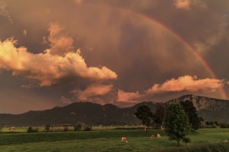 Evening mood with clouds and rainbow over mountains, summer, Loisach-Lake Kochel-Moore, view of