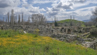 Excavation site site of the ancient city of Aphrodisias, bishop's palace, present-day city of