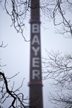 Bayer lettering on a chimney behind bare branches, Bayer AG, agrochemical and pharmaceutical