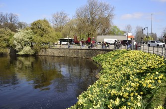 Europe, Germany, Hamburg, City, Inner Alster, tree blossom, lunch break on the Alster promenade,