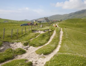 Machair grassland and croft houses on Vatersay island, Barra, Outer Hebrides, Scotland, UK