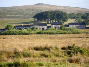 Bright sunny morning weather with a row of former miners terraced houses on moorland, Dartmoor