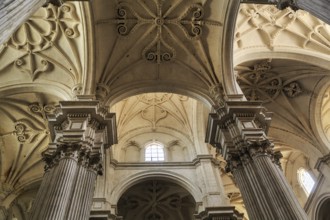 Decorated ceiling vault in the Cathedral of Santa Maria de la Encarnacion de Granada, view upwards,