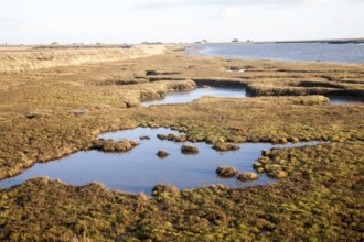 Saltmarsh in tidal creeks of the River Ore looking towards the military structures on Orford Ness,