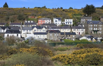 Rows of historic houses inn rural setting, Youghal, County Cork, Ireland, Irish Republic, Europe