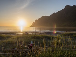 Beach Ersfjordstranden, fjord Ersfjord, public recreation area, sunset, dune grass in backlight,