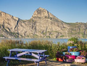 Rest stop, rest area, at the Mefjord, view to mountain Segla, island Senja, Troms, Norway, Europe