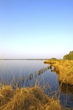 Eternal Sea, nature reserve, East Frisia, Germany, Europe