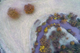 Aerial view of the Hunte in autumn, Meander, Hunte loop, Hunte, river, tree, forest, autumn