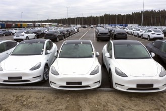 Tesla Y models produced in the Tesla Giga Factory, Grünheide, 28.01.2023