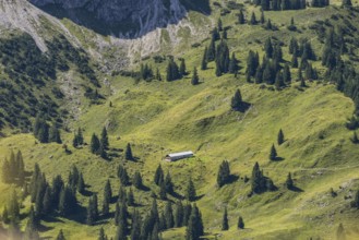 Obere Lugen Alpe in the Oytal valley below the Hahnenköpfl, Allgäu Alps, Allgäu, Bavaria, Germany,