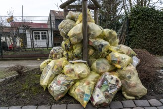 Yellow bags, stacked in a residential street, by a tree, waiting to be collected by a waste