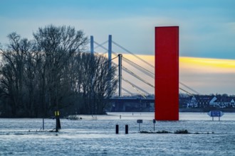 Flood on the Rhine near Duisburg, Rhine bridge Neuenkamp, old and new construction, landmark Rhine