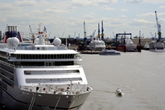 Europe, Germany, Hanseatic City of Hamburg, Elbe, harbour, passenger ship Europa 2 at the jetty,