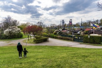 Allotment gardens along the A42 motorway, Emschertal allotment garden association,