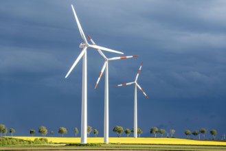 Wind turbines on a rape field, dark rain clouds, in the Rhenish lignite mining area, near