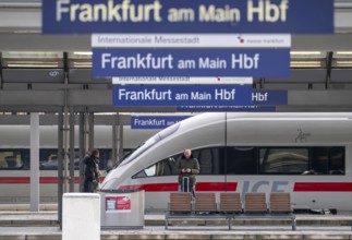 Frankfurt am Main main station, tracks, platforms, trains, Hesse, Germany, Europe