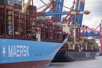 Magleby Maersk container freighter at EUROGATE Container Terminal, Waltershofer Hafen, one of the