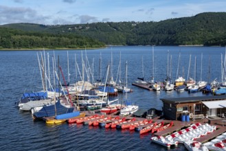 Lake Rursee, reservoir in the Eifel National Park, north-east bank near Heimbach, near the Rur dam