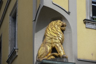 Gold-coloured lion, figure of the lion pharmacy, Kitzingen, Unterfarnken, Bavaria, Germany, Europe