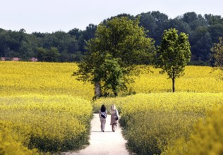 Two woman walk along a field path past blossoming rape fields, Teltow, 13.05.2023