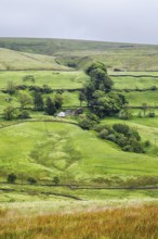 Farms in Yorkshire Dales National Park, North Yorkshire, England, United Kingdom, Europe