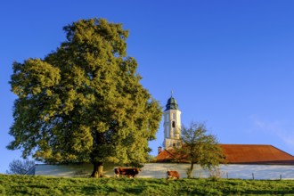 Reutberg Monastery, Sachsenkam, Tölzer Land, Alpine foothills, Upper Bavaria, Bavaria, Germany,