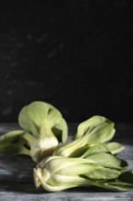 Fresh green bok choy or pac choi chinese cabbage on a gray wooden background. Hard light, contrast,