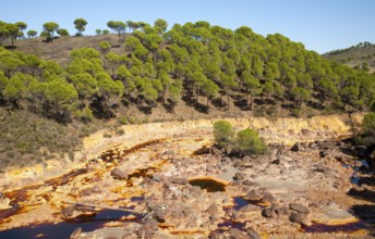 Blood red mineral laden water Rio Tinto river Minas de Riotinto mining area, Huelva province,