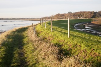 Newly repaired river flood defence wall, River Deben, Ramsholt, Suffolk, England, UK