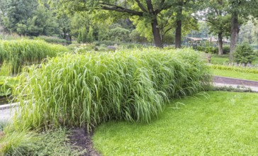 Bernardine Gardens park in the center of Vilnius, Lithuania, Europe