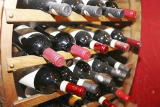 Wine cellar with red wine bottles