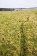 Field view of faint embankment lines 5, 500 years old Stonehenge Cursus, Wiltshire, England, UK