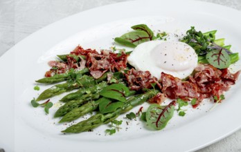 Asparagus with poached egg and fried bacon, micro greens and spices, breakfast, homemade, no people