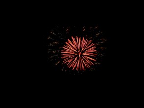 Fireworks in front of black background, single red peony, effect, light effect, explosion,