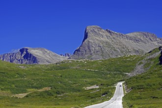 A clear road leads through a green mountain landscape under a blue sky, Trollstigen, Andalsnes,