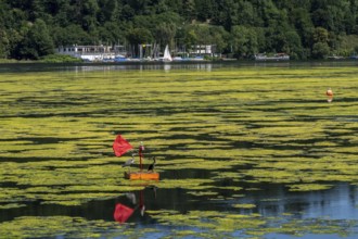 Buoy on the regatta course on Lake Baldeney, cormorant and heron hang out, the area is colonised by