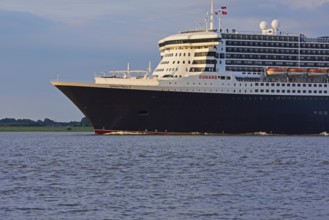 Europe, Germany, Hamburg, Elbe, Passenger ship Queen Mary 2 leaves Hamburg, Evening light, Hamburg,