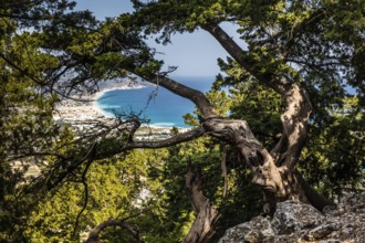 Tsambika Monastery, pilgrimage site for children with spectacular views, Rhodes