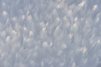 Snow, close-up of snow crystals, Arnsberg Forest nature park Park, North Rhine-Westphalia, Germany,