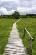 The High Fens, Brackvenn, raised bog, wooden plank hiking trail, in Wallonia, Belgium, on the