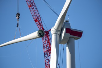 Assembly of a wind turbine, the last rotor blade is being mounted, mobile crane, wind turbine from