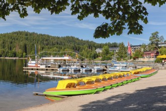 Titisee, Black Forest, Baden-Württemberg, Germany, Titisee, Baden-Württemberg, Germany, Europe